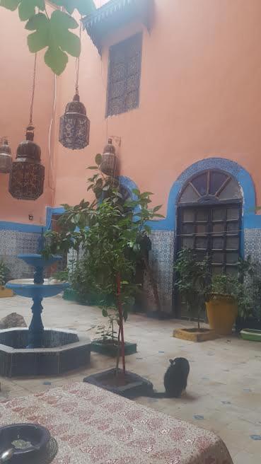 Riad Dar Kader Chambre Saumon Marrakesh Extérieur photo